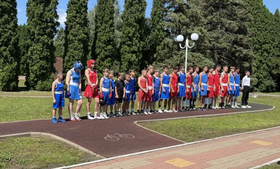 1 августа в Центральном парке села Красное в рамках празднования Дня Краснинского округа состоялись матчевые встречи по боксу