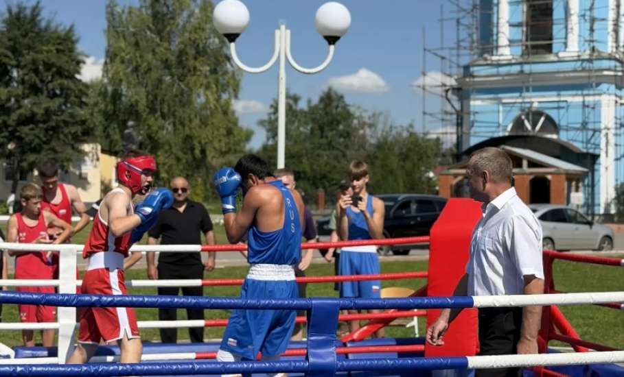 1 августа в Центральном парке села Красное в рамках празднования Дня Краснинского округа состоялись матчевые встречи по боксу