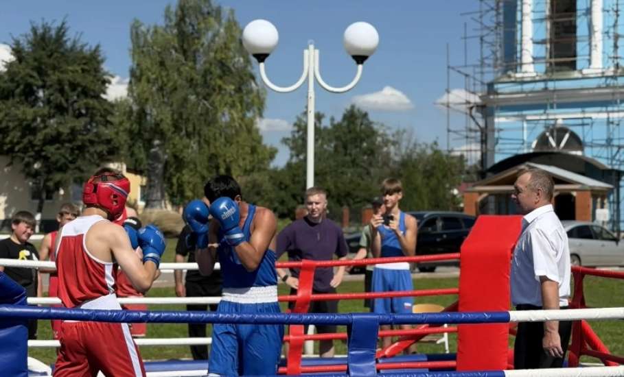 1 августа в Центральном парке села Красное в рамках празднования Дня Краснинского округа состоялись матчевые встречи по боксу