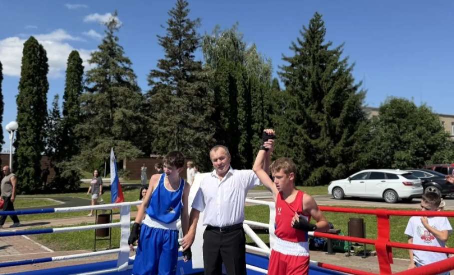 1 августа в Центральном парке села Красное в рамках празднования Дня Краснинского округа состоялись матчевые встречи по боксу