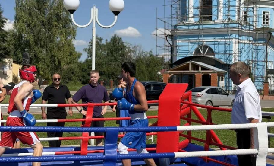 1 августа в Центральном парке села Красное в рамках празднования Дня Краснинского округа состоялись матчевые встречи по боксу