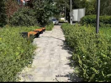 Благодаря инициативе депутата Ольги Карасевой привели в порядок сквер Ленина на улице Вермишева