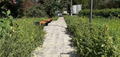Благодаря инициативе депутата Ольги Карасевой привели в порядок сквер Ленина на улице Вермишева