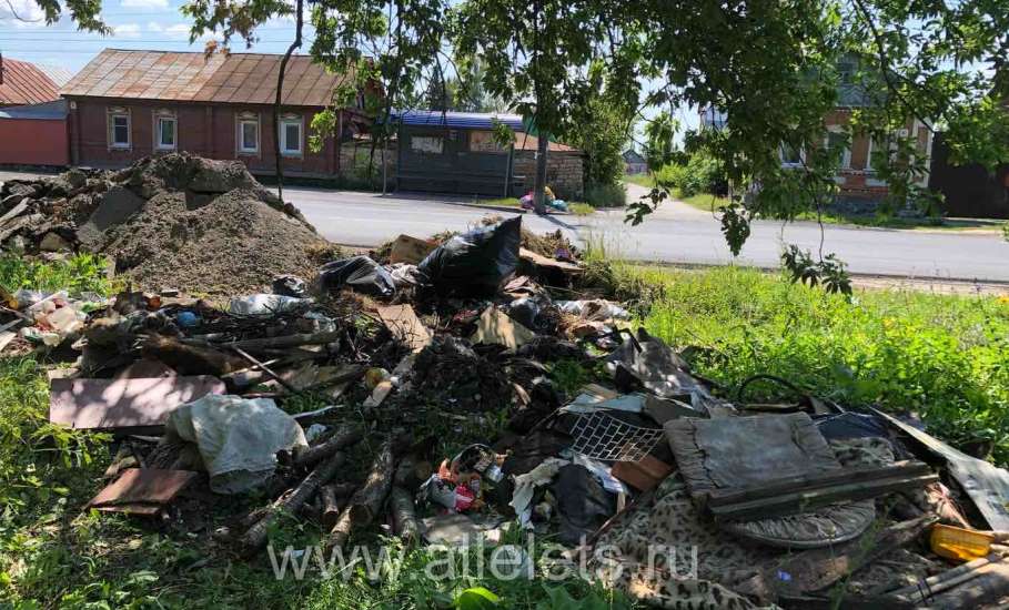В зарослях некошеного бурьяна в Ельце притаилась свалка мусора!