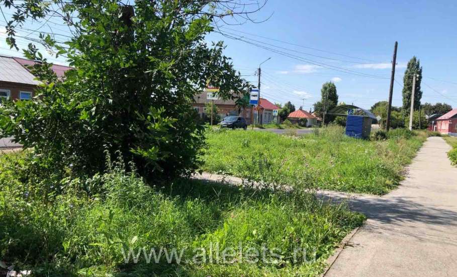 В зарослях некошеного бурьяна в Ельце притаилась свалка мусора!