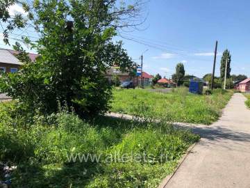 В зарослях некошеного бурьяна в Ельце притаилась свалка мусора!