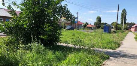 В зарослях некошеного бурьяна в Ельце притаилась свалка мусора!