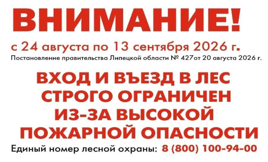 Ограничение на посещение лесов продлено до 13 сентября в Липецкой области