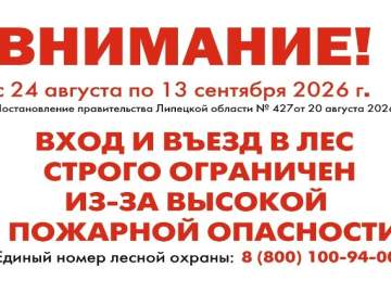 Ограничение на посещение лесов продлено до 13 сентября в Липецкой области