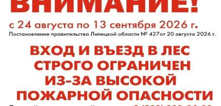 Ограничение на посещение лесов продлено до 13 сентября в Липецкой области
