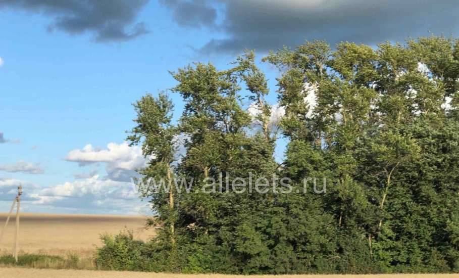 В Липецкой области этой ночью опять сбивали украинские БПЛА