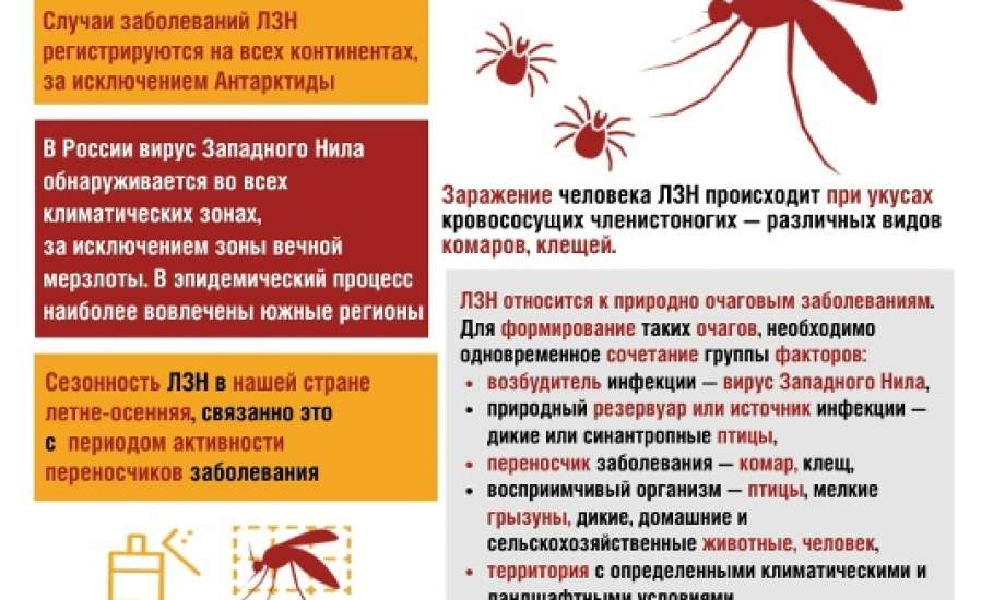 В Липецкой области есть заболевшие лихорадкой Западного Нила!