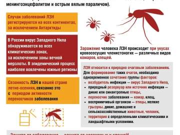 В Липецкой области есть заболевшие лихорадкой Западного Нила!