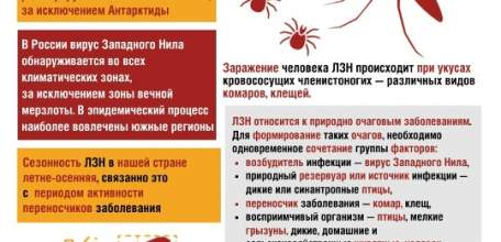 В Липецкой области есть заболевшие лихорадкой Западного Нила!