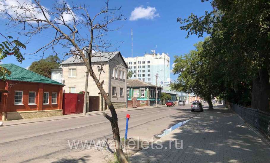 Засохшие деревья стоят возле Детского парка.