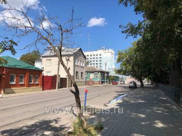 Засохшие деревья стоят возле Детского парка.
