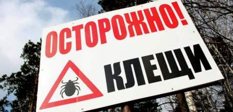 Как защитить себя от клещей