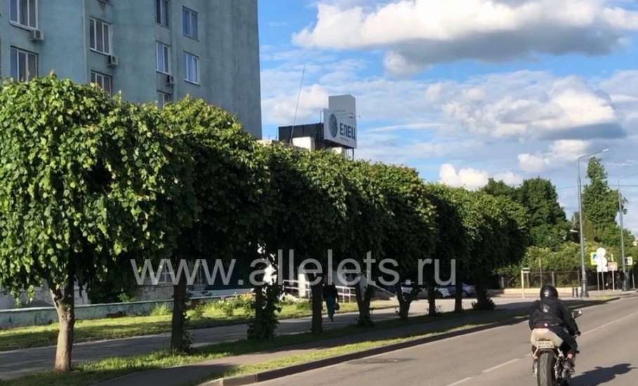 В прошедшие выходные в Липецкой области автоинспекторы выявили двадцать нетрезвых за рулем!