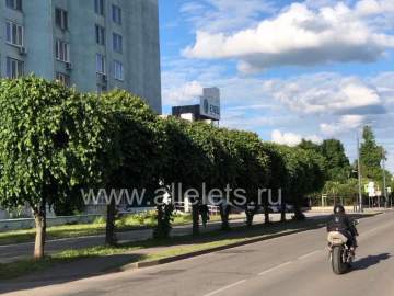 В прошедшие выходные в Липецкой области автоинспекторы выявили двадцать нетрезвых за рулем!