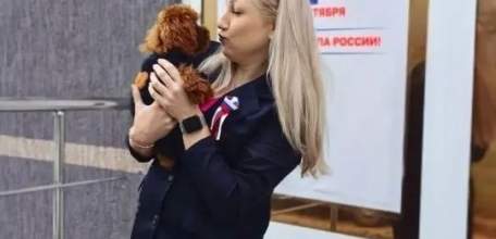 Барбос, Трезор и Шарик сегодня тоже &laquo;на участке&raquo;!