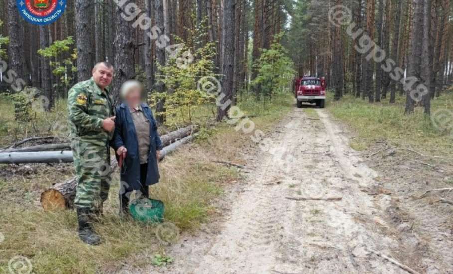 Липецкие пожарные нашли заблудившуюся женщину в лесу!