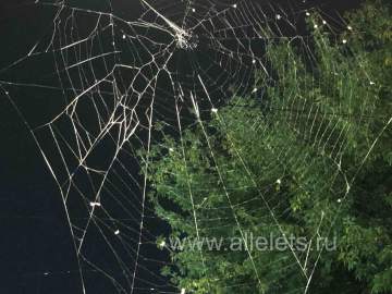 В России этой ночью уничтожены 1110 украинских беспилотных летательных аппаратов!