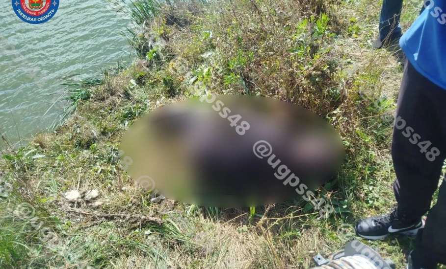 Сегодня водолазы достали из пруда машину и тело мужчины в Измалковском районе