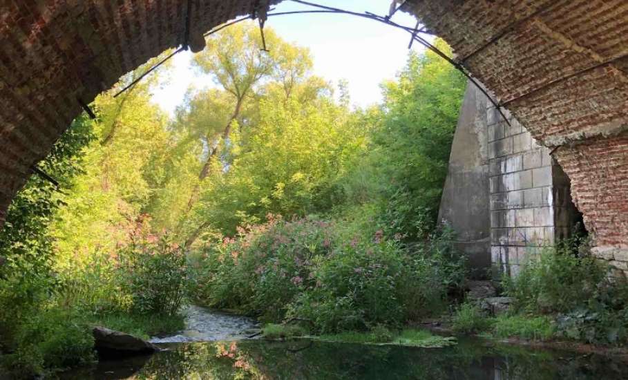 Завтра опять отключение воды в Ельце