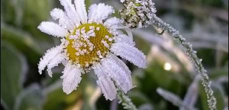 МЧС предупреждает об ухудшении погоды