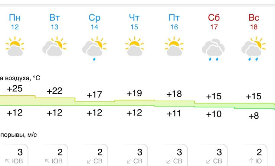 Прогноз погоды в Ельце на следующую неделю