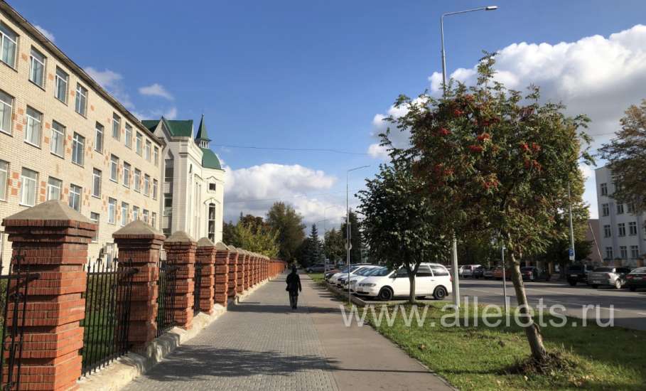 В Липецкой области зарегистрирован первый случай гриппа А