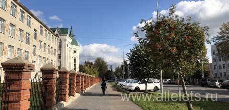 В Липецкой области зарегистрирован первый случай гриппа А
