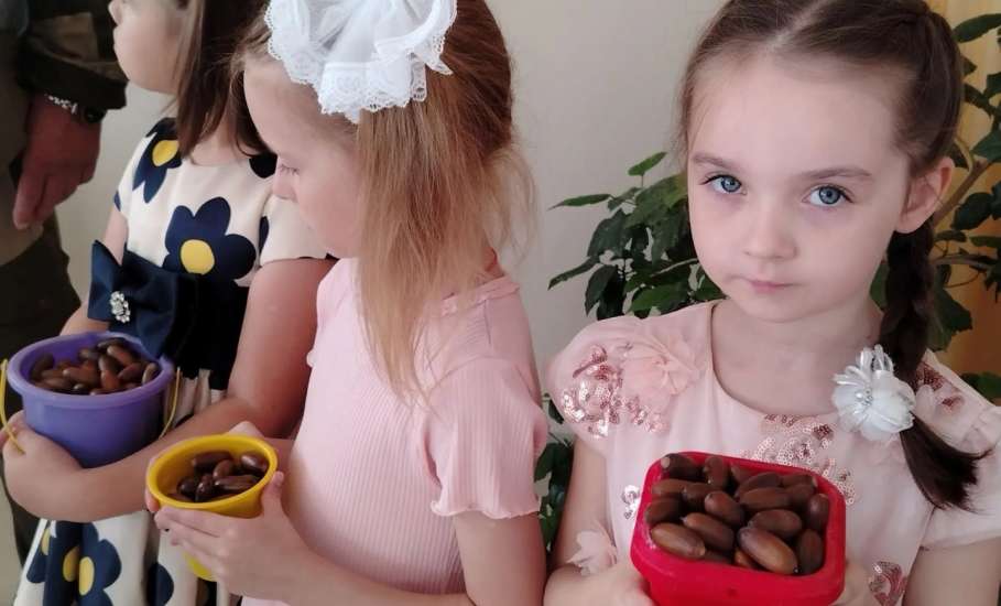Осенью традиционно проходит областная экологическая акция &laquo;Собирая жёлуди &ndash; сохраняем леса региона&raquo;