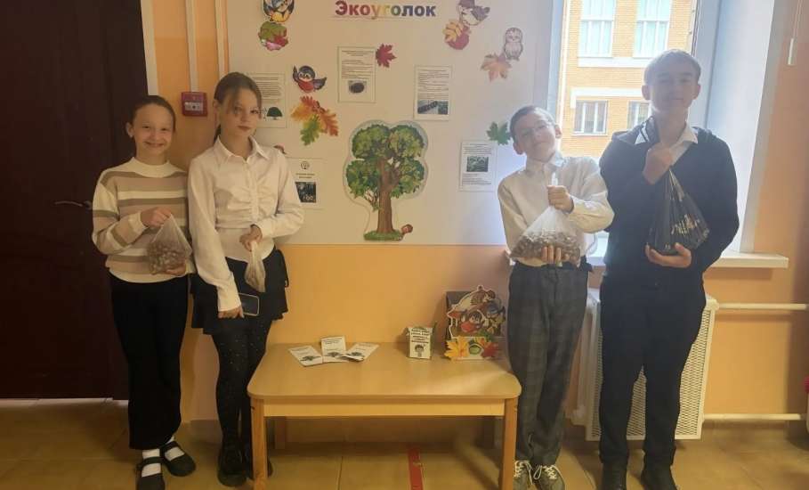 Осенью традиционно проходит областная экологическая акция &laquo;Собирая жёлуди &ndash; сохраняем леса региона&raquo;