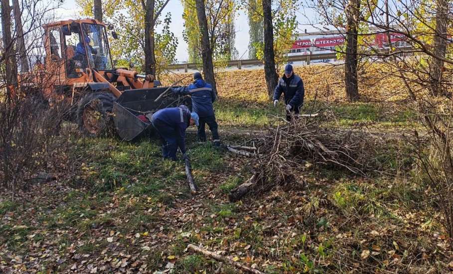 Сотрудники МБУ &laquo;Благоустройство&raquo; и представители ООО &laquo;Агроснабсахар&raquo; провели субботник на пешеходной зоне вдоль окружной трассы