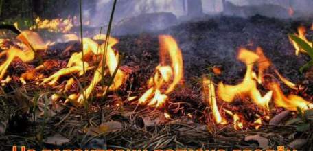 ГУ МЧС России по Липецкой области напоминает жителям региона о действии особого противопожарного режима