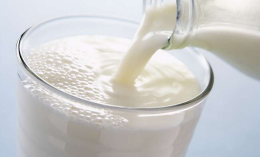 Прокуратура Елецкого района пресекла поставки молочной продукции, не соответствующей требованиям нормативных документов, в образовательные организации района