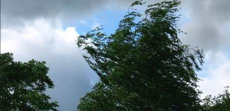 ГУ МЧС России по Липецкой области предупреждает об усилении ветра на территории региона