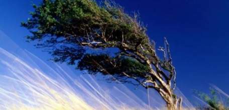 ГУ МЧС России по Липецкой области: В ближайшие 2-4 часа ожидается усиление ветра