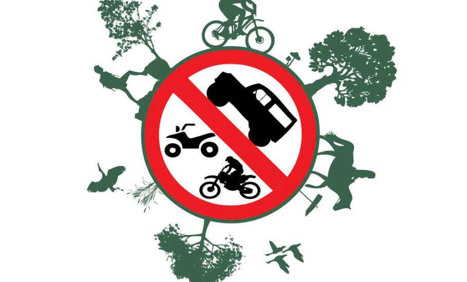 Экологи призывают отказаться 15 июня от использования личного автотранспорта
