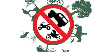 Экологи призывают отказаться 15 июня от использования личного автотранспорта