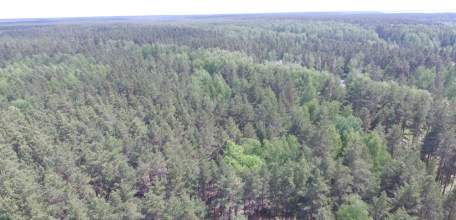 Мониторить ситуацию спасателям МЧС помогают беспилотники