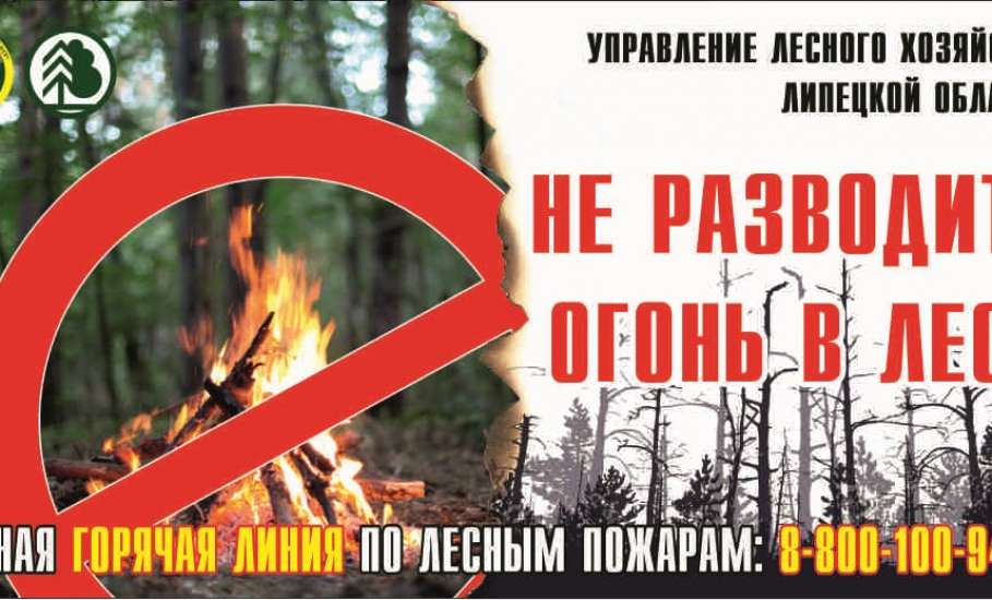 В Липецкой области установился высокий класс пожарной опасности в лесах