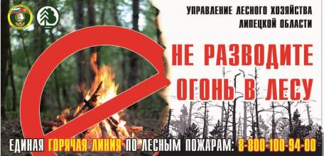 В Липецкой области установился высокий класс пожарной опасности в лесах