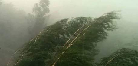 ГУ МЧС России по Липецкой области предупреждает об усилении ветра на территории региона до 15-17 м/с