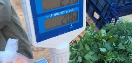 Вся сущность местной власти в двух помидорах