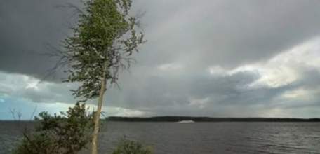 ГУ МЧС России по Липецкой области предупреждает об усилении северо-западного ветра с порывами до 15-17 м/с