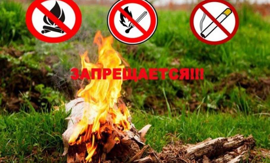 МЧС напоминает: на территории Липецкой области действует особый противопожарный режим