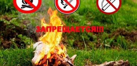 МЧС напоминает: на территории Липецкой области действует особый противопожарный режим