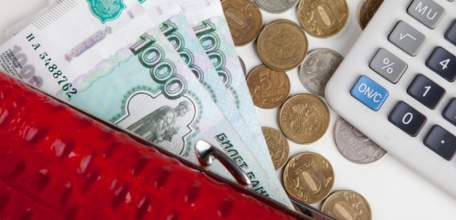 Житель Ельца получил займ на сумму 12 000 рублей, предоставив ложные сведения о месте своей работы и заработной плате